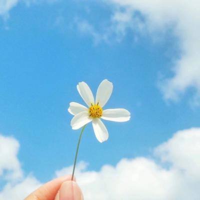 ku娱乐游app平台