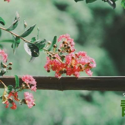 半岛平台官方网站入口