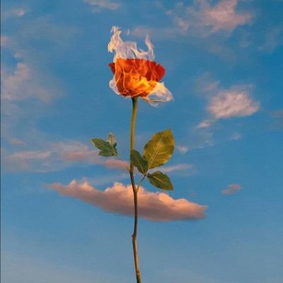 28圈游戏官网平台