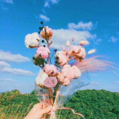 乐动体育app下注下载